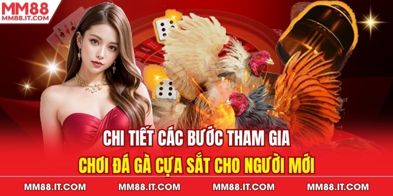 Chi tiết các bước tham gia chơi đá gà cựa sắt cho người mới
